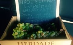 Herdade do Rocim Winery Image