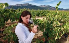 Ferrer Miranda Orube Winemaker Winery Image