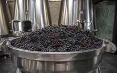 Chateau Les Carmes Haut-Brion Whole Cluster Fermentation Winery Image
