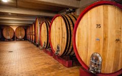 Pertinace Pertinace Cellar Winery Image