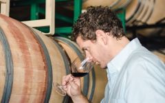 Ammunition Blending Winery Image