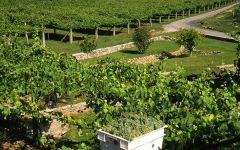 Bodegas Fillaboa Winery Image