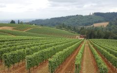 J. Christopher Winery Image