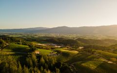 Merryvale Vineyards Merryvale Estate Winery Image