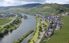Loosen Bros. Ürzig on the Mosel-September Winery Image