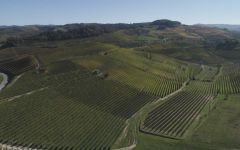 Arnaldo Rivera Ravera - Novello Winery Image