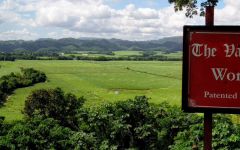Worthy Park Winery Image