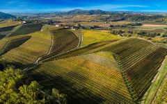 Tunella Tunella Vineyard Winery Image