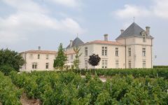 Chateau de Pez Winery Image