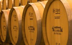 Aia Vecchia The Aia Vecchia Cellar Winery Image