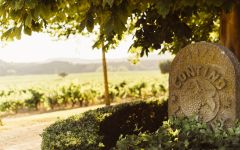 Contino Contino Founded in 1973 Winery Image