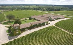 Chateau Rieussec Sauternes 2001 | Wine.com