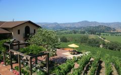 Keever Vineyards and Winery Vineyards Winery Image