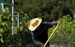 Jonata Jonata Ranch Winery Image