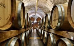 Masseria Li Veli Wine Cellar Winery Image