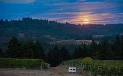 Chehalem Harvest at Full Moon Winery Image