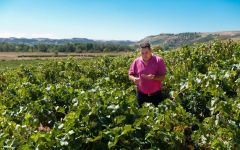 Vizcarra Winery Image