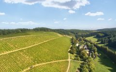 Karthauserhof Viticulture Winery Image