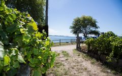 La Cana Winery Image