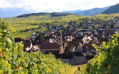 Hugel Winery Image