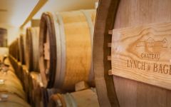 Chateau Lynch-Bages Oak Barrel Ageing Winery Image