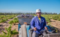 Lubanzi  Winery Image