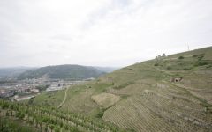 M. Chapoutier Hermitage looking at the Rhone River Winery Image