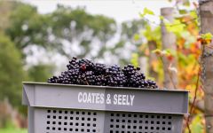 Coates and Seely The Harvest Winery Image