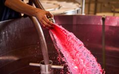 Domaine du Chateau Philippe le Hardi Winery Image