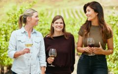 Cambria Winery Winery Image