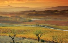 Bodegas Nekeas Winery Image