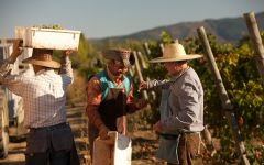 Erasmo Erasmo Harvest Winery Image