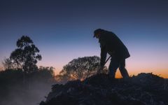 Dog Point Vineyard The “Biogro” Program Winery Image