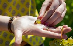 Bodegas Vatan  Winery Image