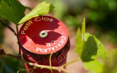 Domaine du Chateau Philippe le Hardi Winery Image