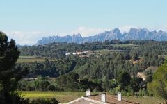 Avaline Raventós i Blanc - Sparkling Winery Image