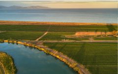 Te Pa Wines te Pa vineyards along the Taylor River Winery Image