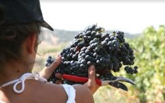 Herdade do Rocim Winery Image