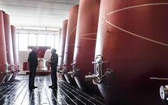 Tenuta Luce Winery Image