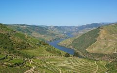 Ramos Pinto Ramos Pinto Douro Valley Winery Image