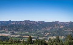 Band of Vintners Vineyard Winery Image