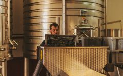 Villota Destemming Winery Image