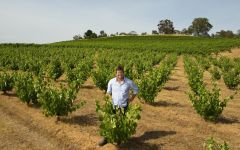 Hewitson Hewitson’s Vineyards Winery Image