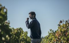 Chateau Paloumey Pierre Cazeneuve, Owner and Winemaker Winery Image