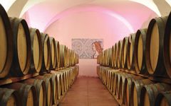 Elena Walch Barrique Cellar at Elena Walch Winery Image