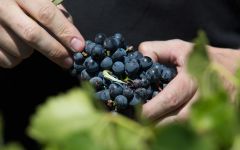 Bodegas Breca Winery Image