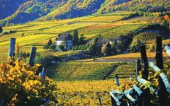 Elena Walch Castel Ringberg in Autumn Winery Image