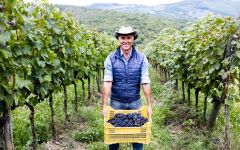 Ziobaffa Piergiorgio Castellani Winery Image