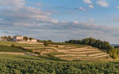 Tour Saint Christophe Winery Image