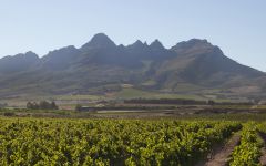 The Winery of Good Hope Helderberg for the Vineyards Winery Image